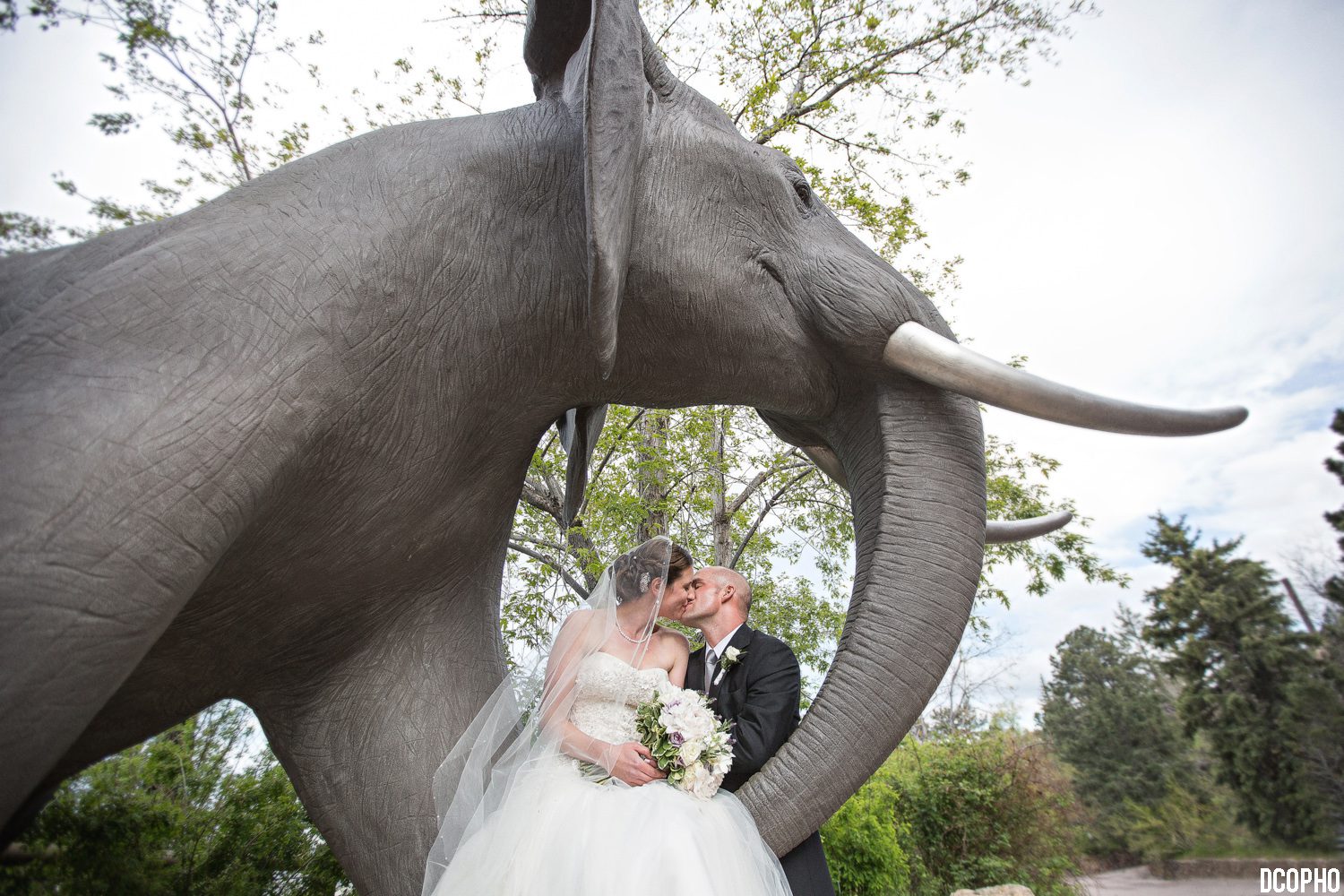 Cheyenne Mountain Zoo Wedding Colorado Springs