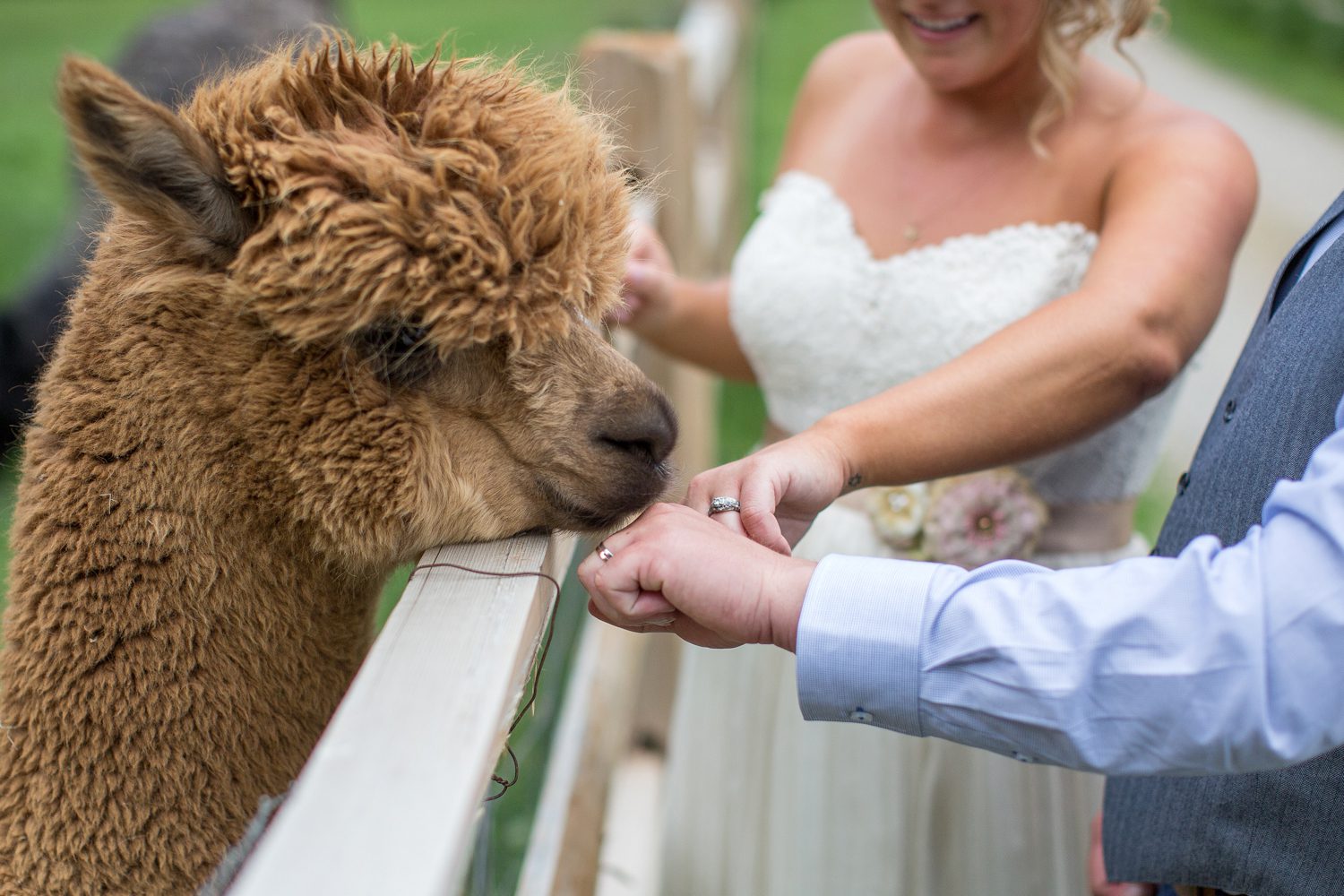 Colorado Wedding and Portrait Photographer Colorado Springs Colorado