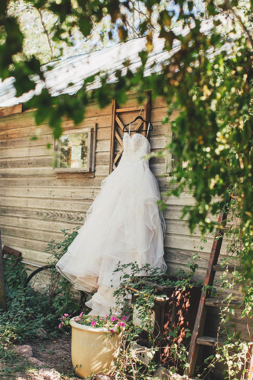 Colorado Springs Hillside Gardens Wedding Photography Colorado Springs Hillside Gardens Wedding Photography