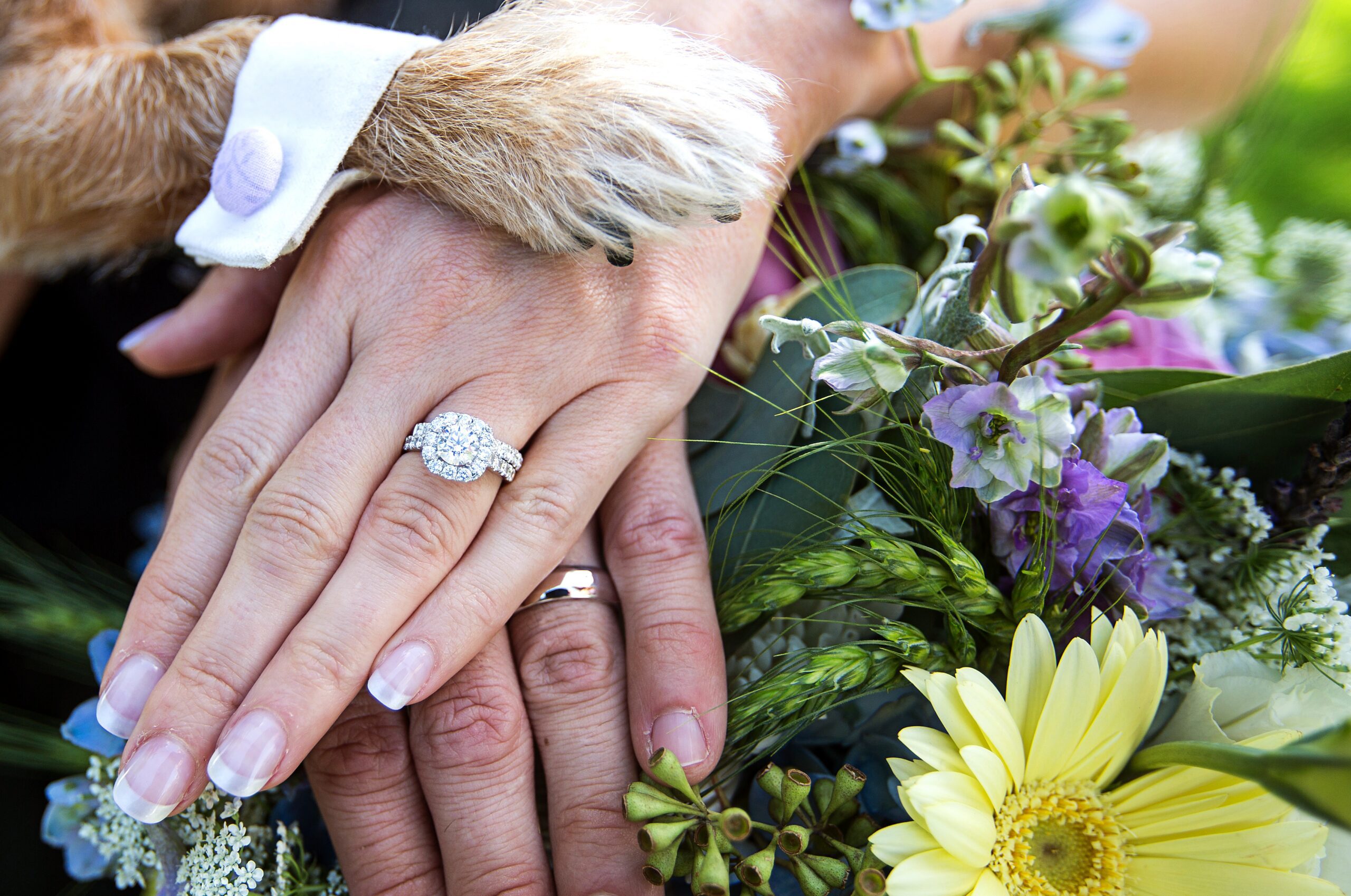 Colorado Springs Wedding Photographer